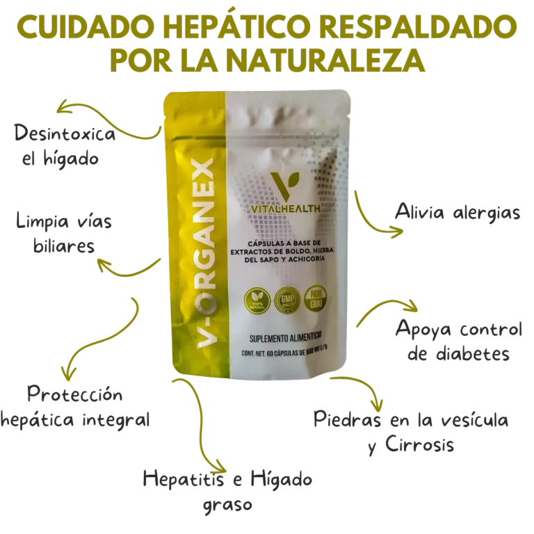 Beneficios de V-Organex de VitalHealth para el hígado, vías biliares y sistema digestivo